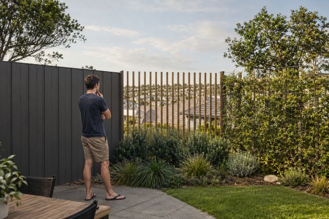Comparing three backyard screening solutions